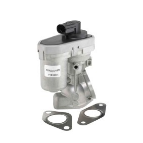 Comprar Válvula EGR de BorgWarner 710925R a bajo precio de 180,85 €