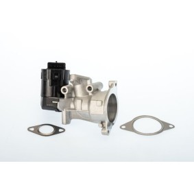 Comprar Válvula EGR de BorgWarner 710926D a bajo precio de 177,82 €