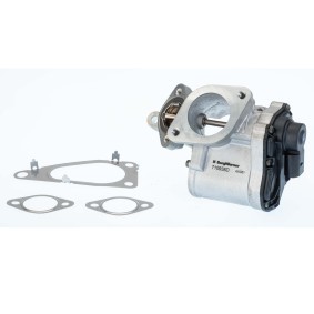 Comprar Válvula EGR de BorgWarner 710938D a bajo precio de 198,54 €