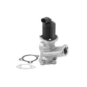 Comprar Válvula EGR de BorgWarner 710958R a bajo precio de 112,41 €