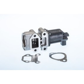 Comprar Válvula EGR de BorgWarner 710964R a bajo precio de 238,10 €