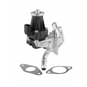 Comprar Válvula EGR de BorgWarner 710979D a bajo precio de 143,83 €