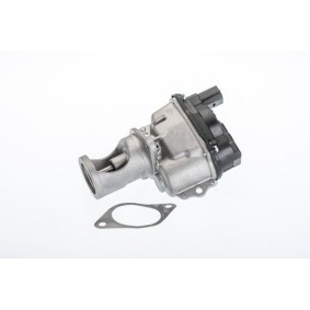 Comprar Válvula EGR de BorgWarner 710981R a bajo precio de 376,33 €