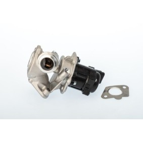 Comprar Válvula EGR de BorgWarner 711020D a bajo precio de 133,53 €