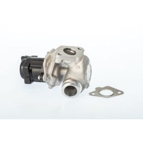 Comprar Válvula EGR de BorgWarner 711021D a bajo precio de 138,85 €