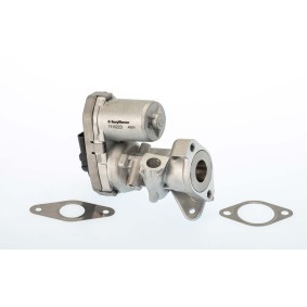 Comprar Válvula EGR de BorgWarner 711022D a bajo precio de 178,15 €