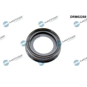 Wellendichtring, Antriebswelle DRM02288