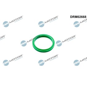 Comprar Junta anular, conducto aire admisión de DR.MOTOR AUTOMOTIVE DRM02668 a bajo precio de 7,84 €