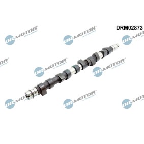 Nockenwelle von DR.MOTOR AUTOMOTIVE