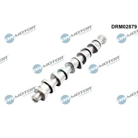 Nockenwelle von DR.MOTOR AUTOMOTIVE
