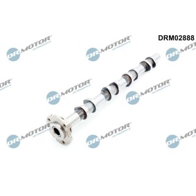 Compre Árvore de cames da DR.MOTOR AUTOMOTIVE DRM02888 a um preço baixo por 81,21 €