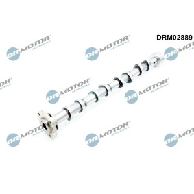 Compre Árvore de cames da DR.MOTOR AUTOMOTIVE DRM02889 a um preço baixo por 108,26 €