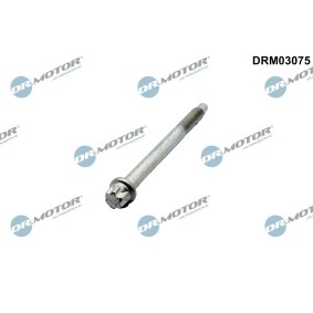 Schraube, Einspritzdüsenhalter DRM03075
