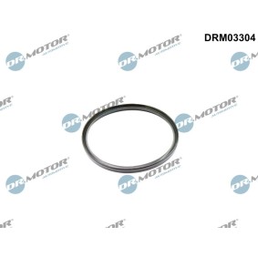 Dichtring, Ladeluftschlauch DRM03304