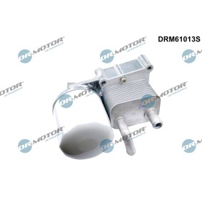 Compre Caja del filtro de aceite de DR.MOTOR AUTOMOTIVE online para Tourneo Connect Mk1 a precios moderados
