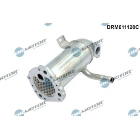 Köp EGR kylare av DR.MOTOR AUTOMOTIVE DRM611120C till det låga priset 3187,61 kr