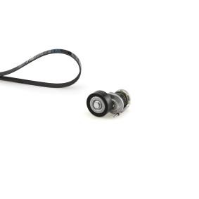 Keilrippenriemensatz K026PK1230 für POLESTAR