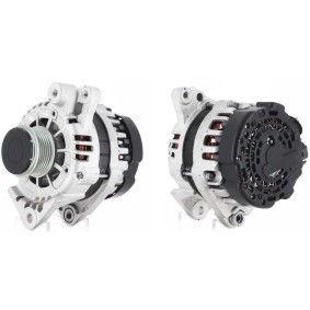 Lichtmaschine für KIA von ROTOVIS Automotive Electrics