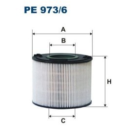 Compre Filtro de combustível da FILTRON PE973/6 a um preço baixo por 52,57 €