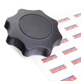Drehknopf, Sitzlehnenverstellung 109 519