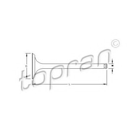 Compre Válvula de drenagem da TOPRAN 721 564 a um preço baixo por 11,24 €