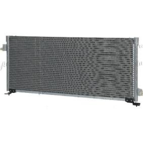 Klimakondensator 0824.3004