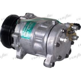 Acquista Compressore aria condizionata da FRIGAIR 920.20059 a buon mercato per soli 436,21 €
