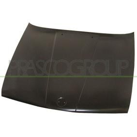 Motorhaube BM0103100