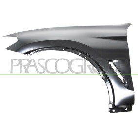 Kühlergrill CI0502011