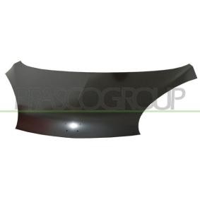 Motorhaube CI2013100