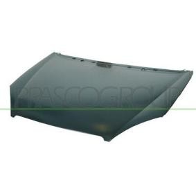 Motorhaube CI5203100
