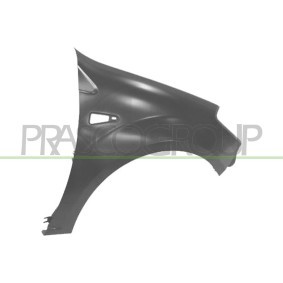Kühlergrill DS0022001