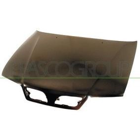 Motorhaube DS1753100