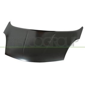 Motorhaube DS3503100