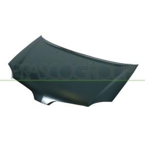 Motorhaube DS4223100