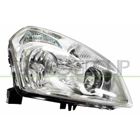 Kühlergrill DW0222001