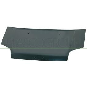 Motorhaube FD9303100