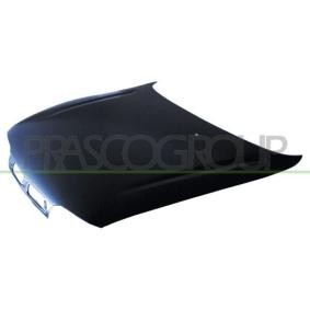 Motorhaube FT1373100