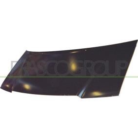 Motorhaube FT9223100