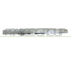 Radhausschale HN8203603