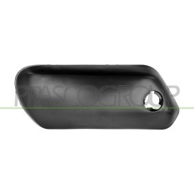 Motorhaube PG0553100
