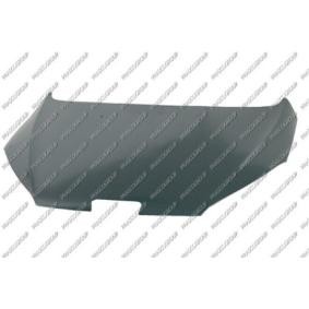 Motorhaube PG0613100
