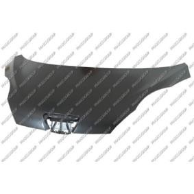 Motorhaube PG2013100