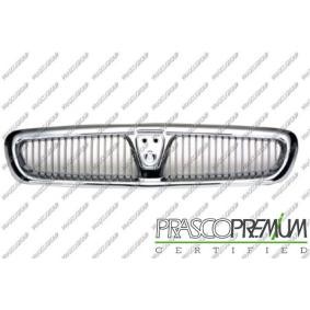 Kühlergrill RG3402001