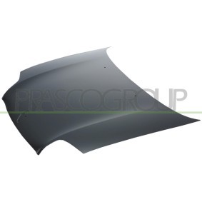 Motorhaube RN0573100