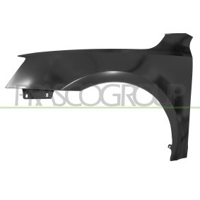Motorhaube SK0053100