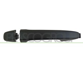 Schlossträger SZ4203201