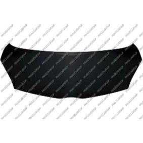 Motorhaube TY2013100
