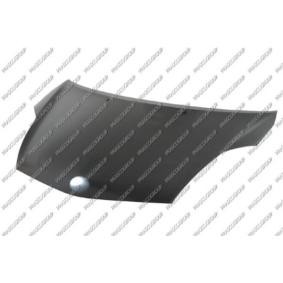 Motorhaube TY4203100
