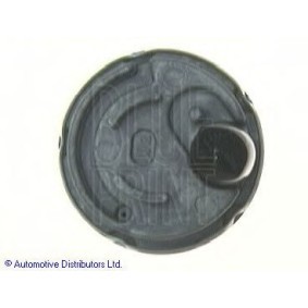Achetez des Pompe à carburant BLUE PRINT ADM56817 à prix pour 304,01 €